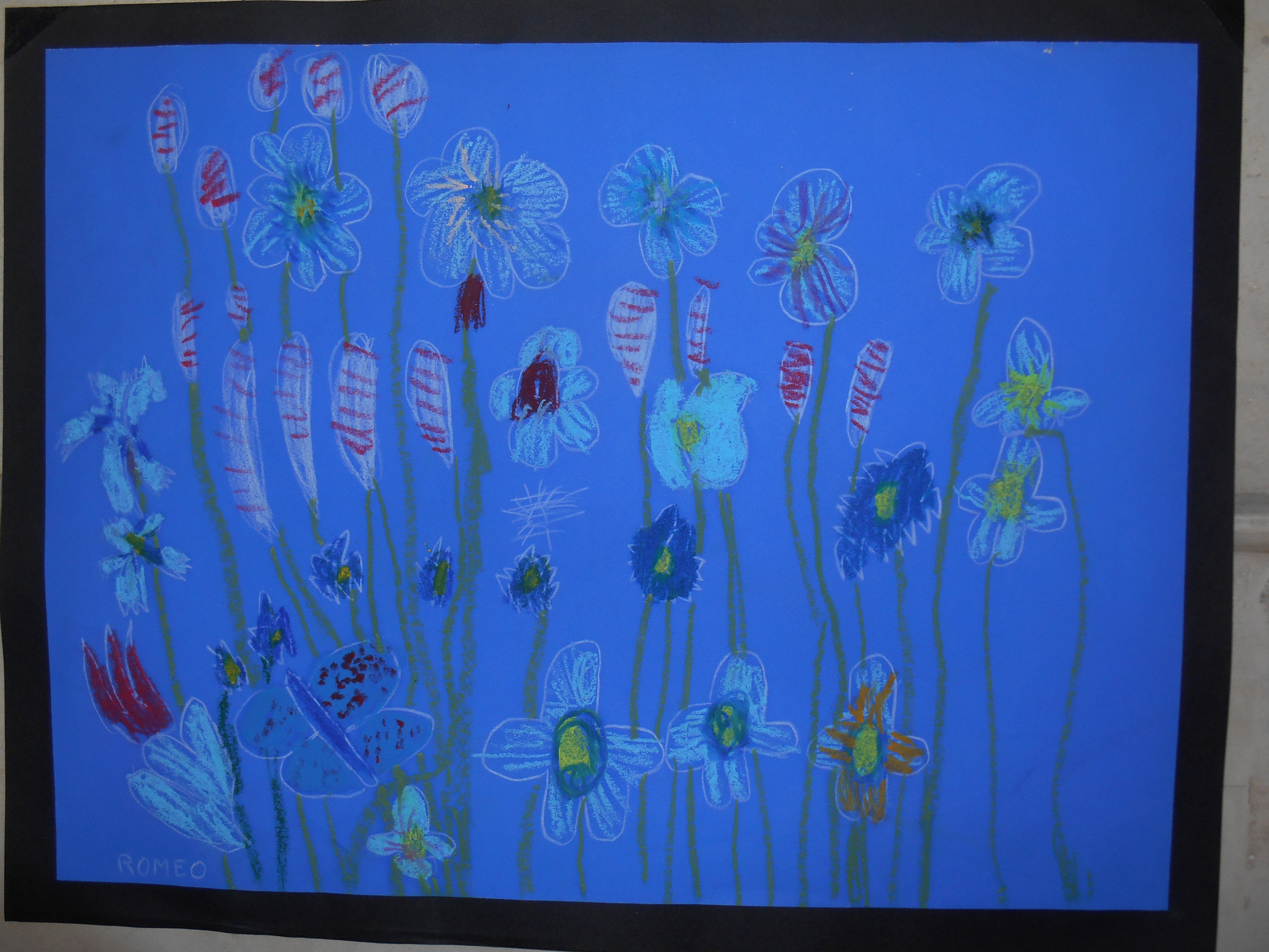 Champ de Fleurs bleues / maternelle Jean Monnet