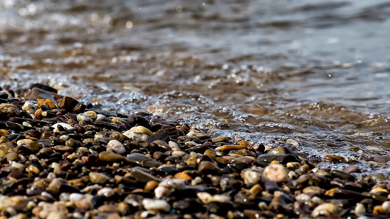 L'eau, indispensable à la vie 