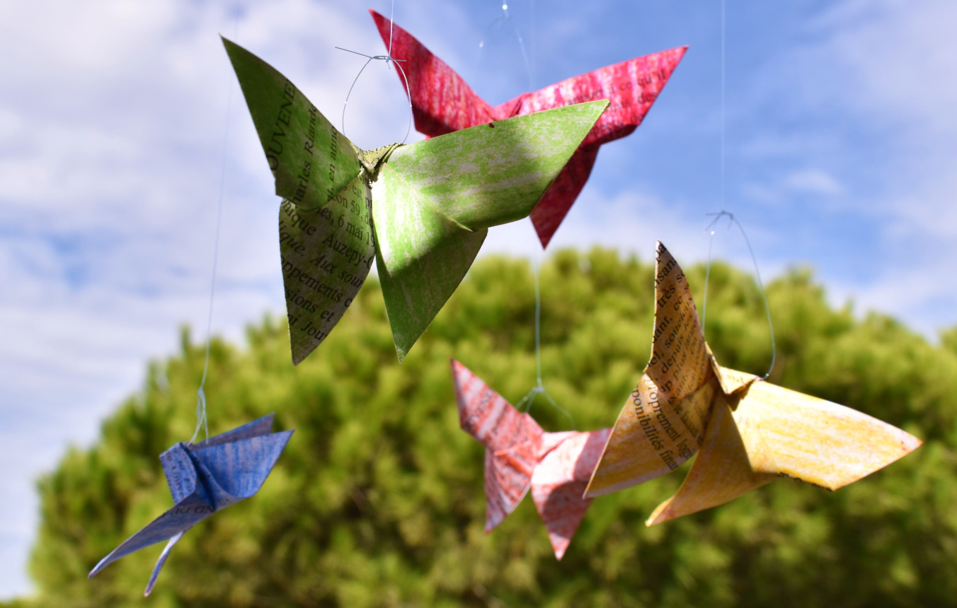 Vole papillon ! : les ateliers de Magali