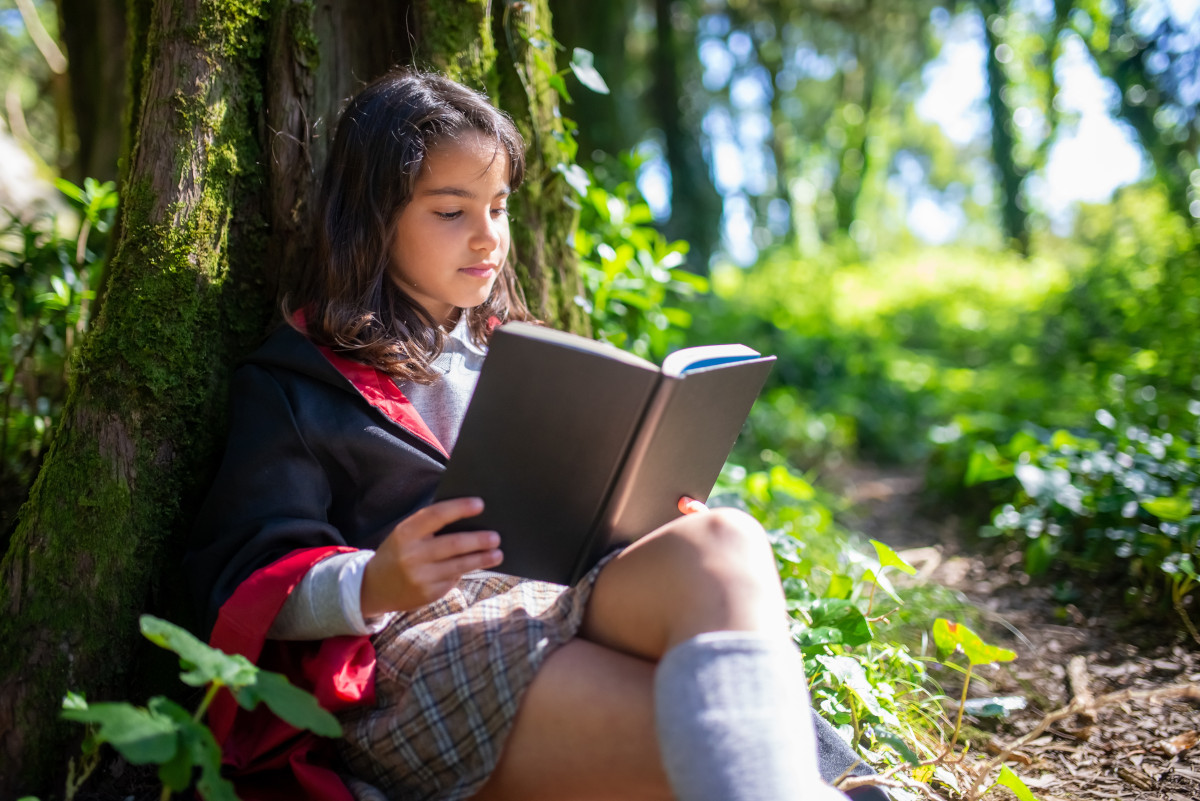 La petite bibliothèque sous les arbres