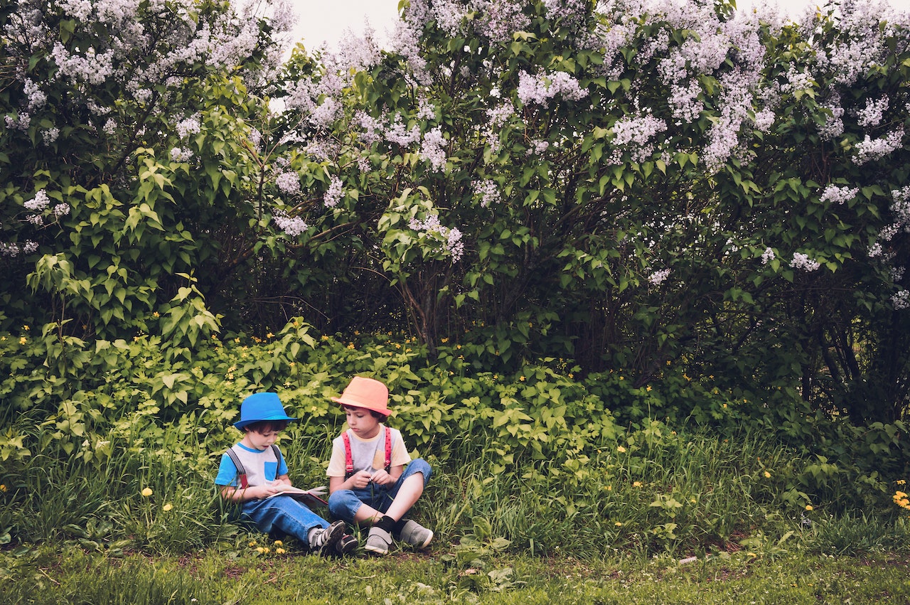 Lecture sous les arbres